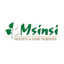 Msinsi Holdings SOC Limited Tenders
