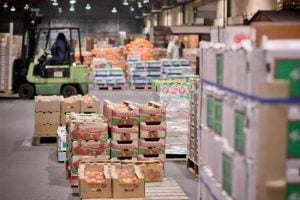 FRUIT & VEG SEASONS